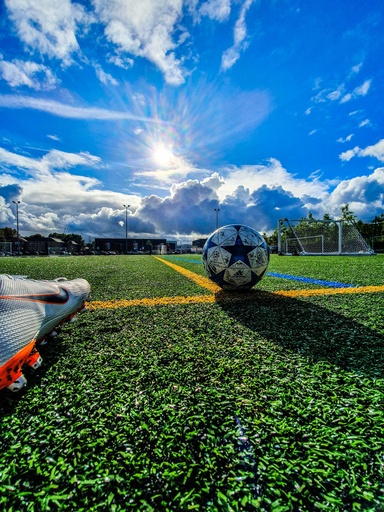 Turf Rental